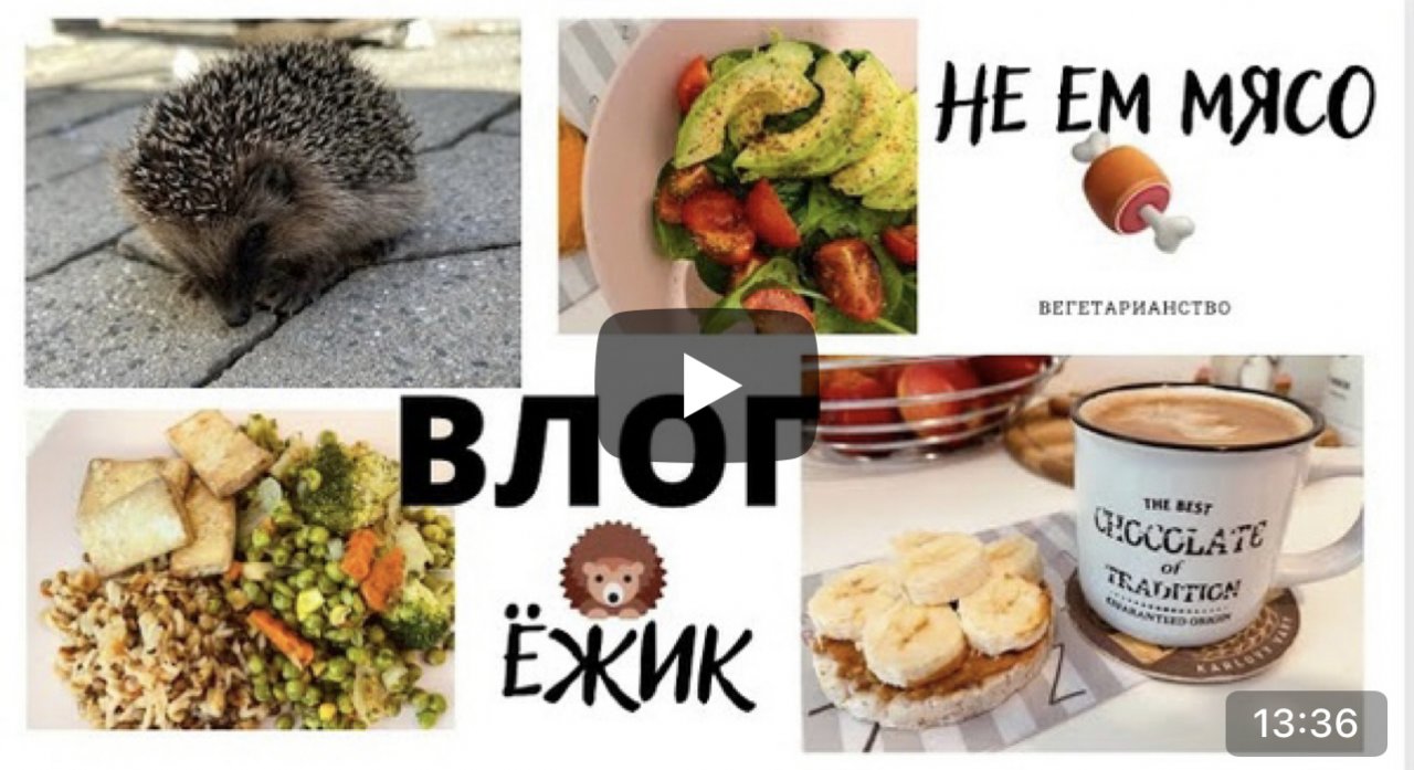 ОСЕННИЙ ВЛОГ: не ем мясо, ёжик потерялся, наша осень, достаю тёплые вещи, в садике инфекция