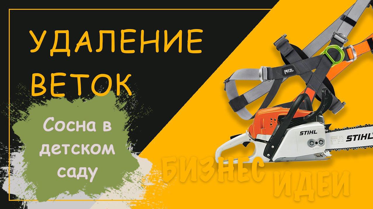 Обрезка веток в детском саду