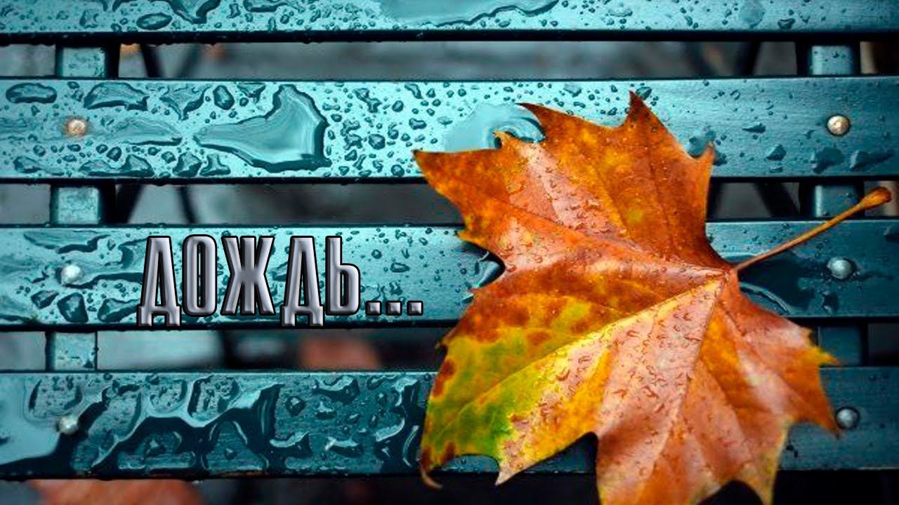 ДОЖДЬ*