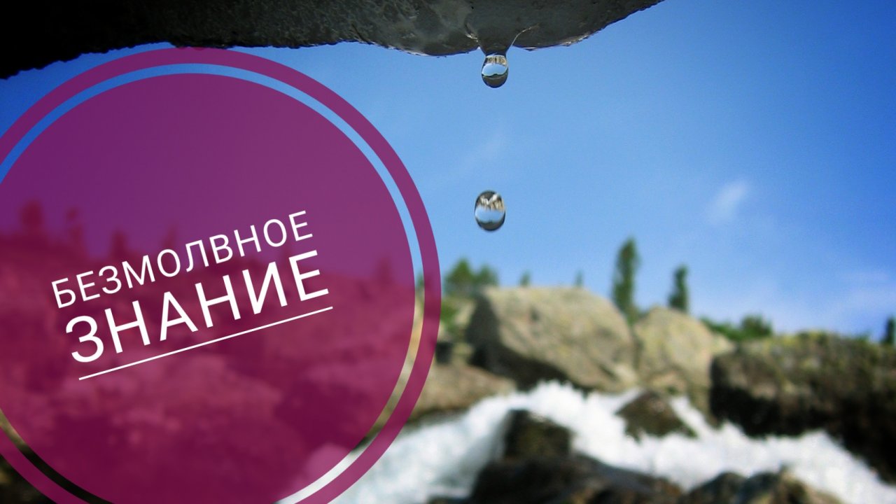 БЕЗМОЛВНОЕ ЗНАНИЕ