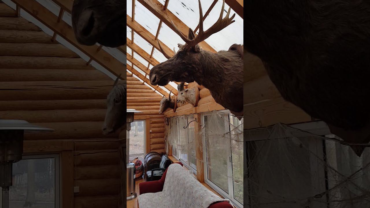 Гостевой охотничий домик в аренду.