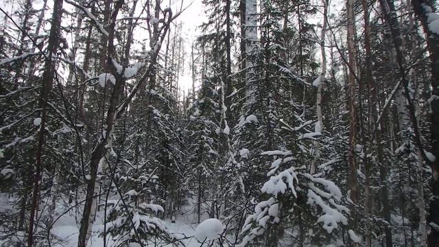 Ориентирование по Солнцу без часов, часть 1