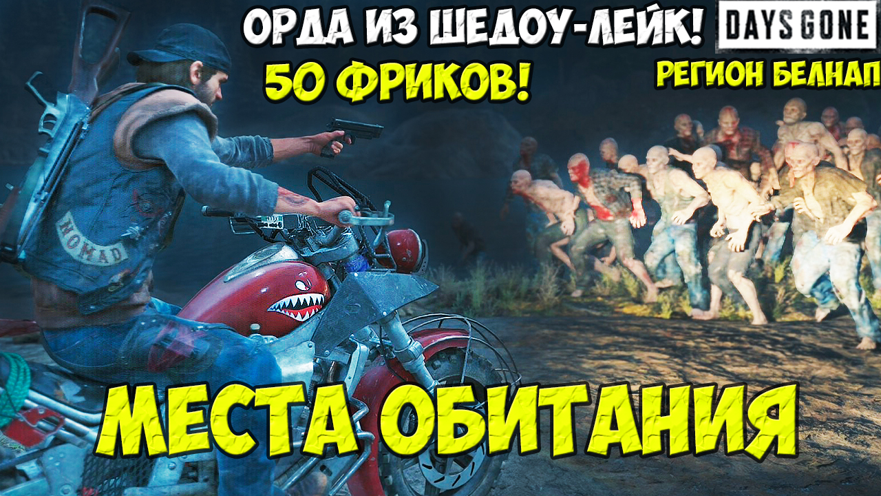 Орда из Шедоу-Лейк(Shadow Lake Horde). 50 Фриков. Белнап. Места обитания. #daysgone #horde #shadow #