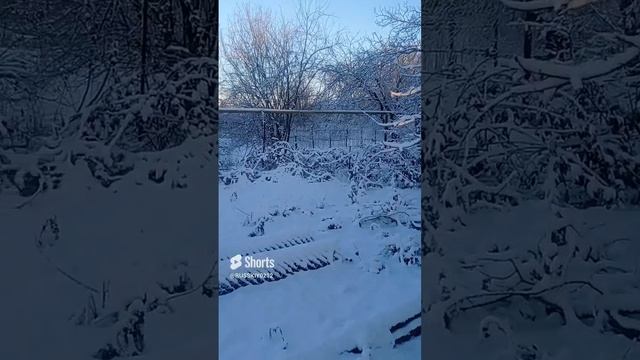 ст Ладожская утро -17