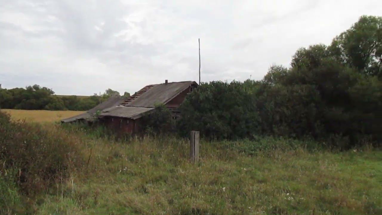 Опустевший посёлок Истамбул, Пензенский район