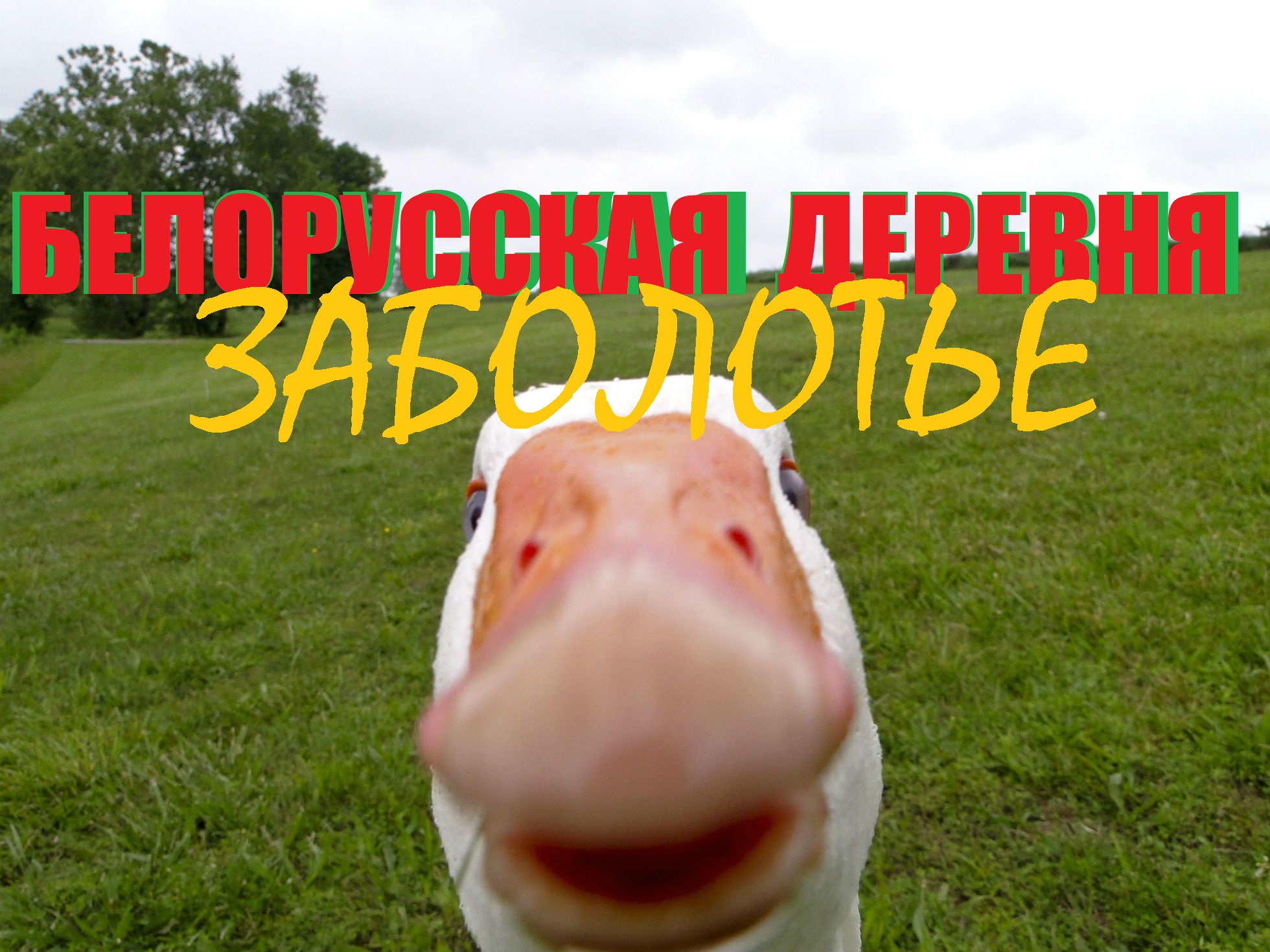 Едем на деревню,к бабушке!Орша.Заболотье.Погуляем по просторам Белорусии.Вдохнём кислорода.осень2023