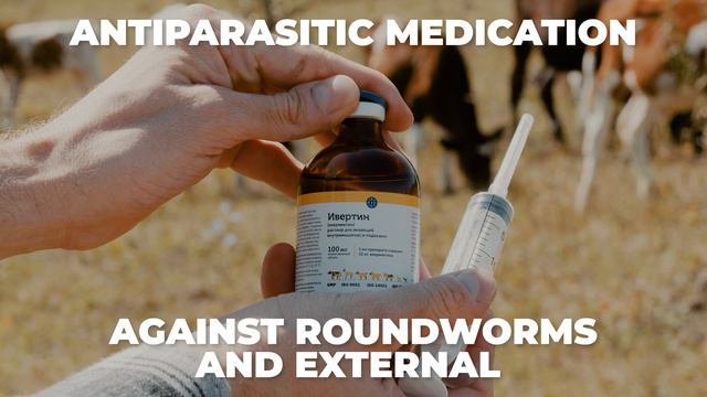 Ivertin: antiparasitic agent for farm animals