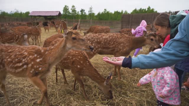 Экоферма Rose Agro Сахалинская область