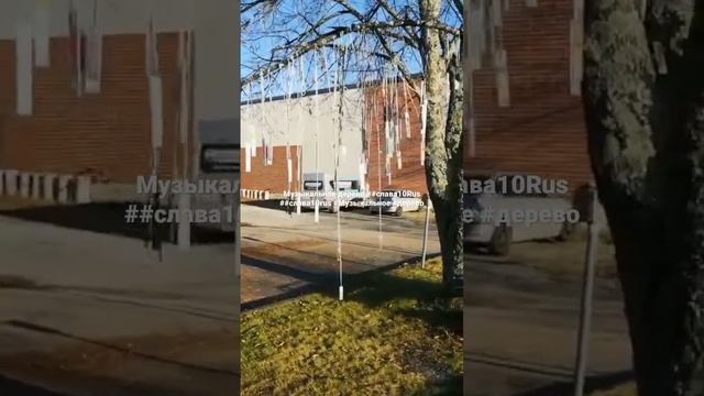 Музыкальное дерево ##слава10Rus ##слава10rus #Музыкальное #дерево.mp4