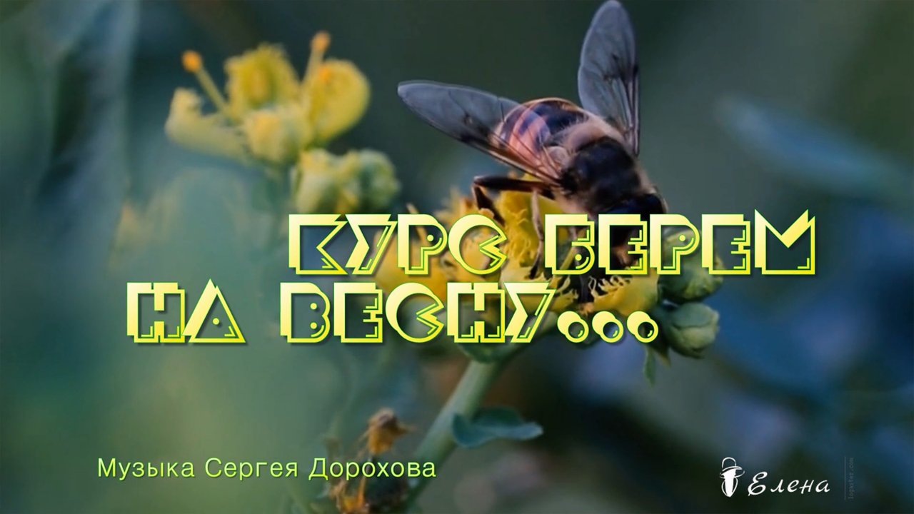 Курс берем на весну *