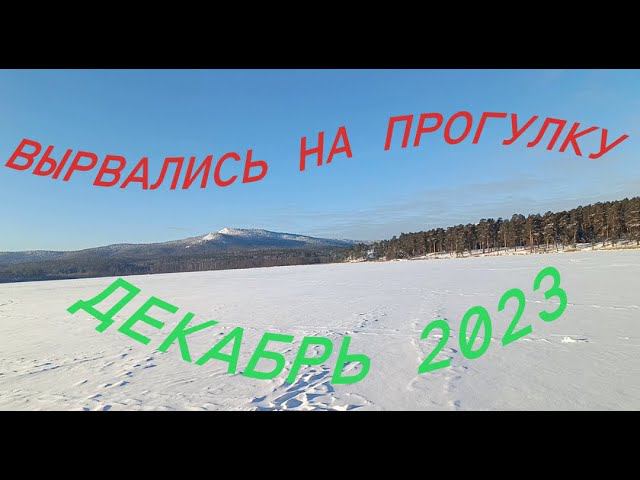 Морозный солнечный день. Прогулка по лесу