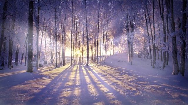 Шестой настрой на обучение