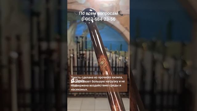 Глянцевая трость Аревс Лайт 8 962 684 23 56 - для заказа