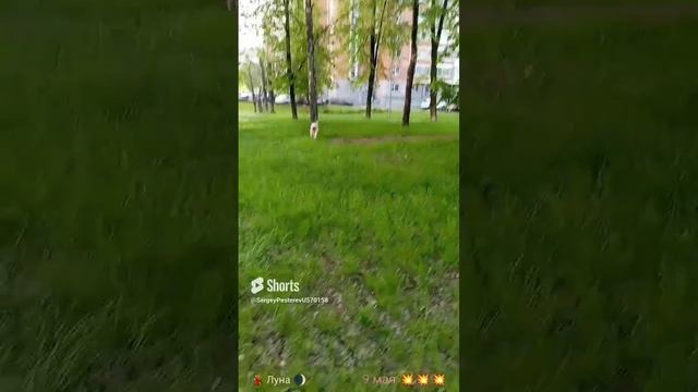 Эх, прокачу....mp4