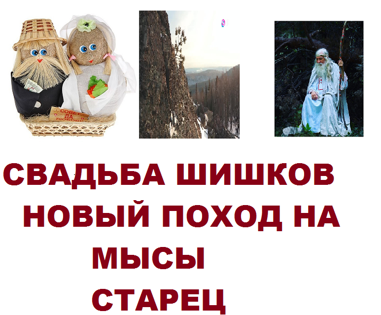 2. ШКОЛА ДЛЯ ВОЖДЯ. Книга 1 - СВАДЬБА ШИШКОВ. НОВЫЙ ПОХОД НА МЫСЫ.СТАРЕЦ - Ирина Нилова