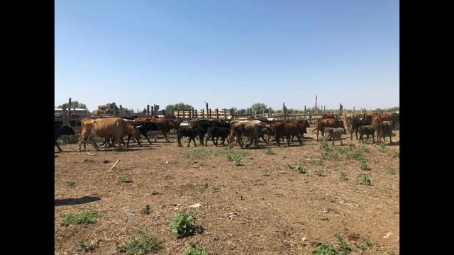 Село Восток Енотаевского района АО