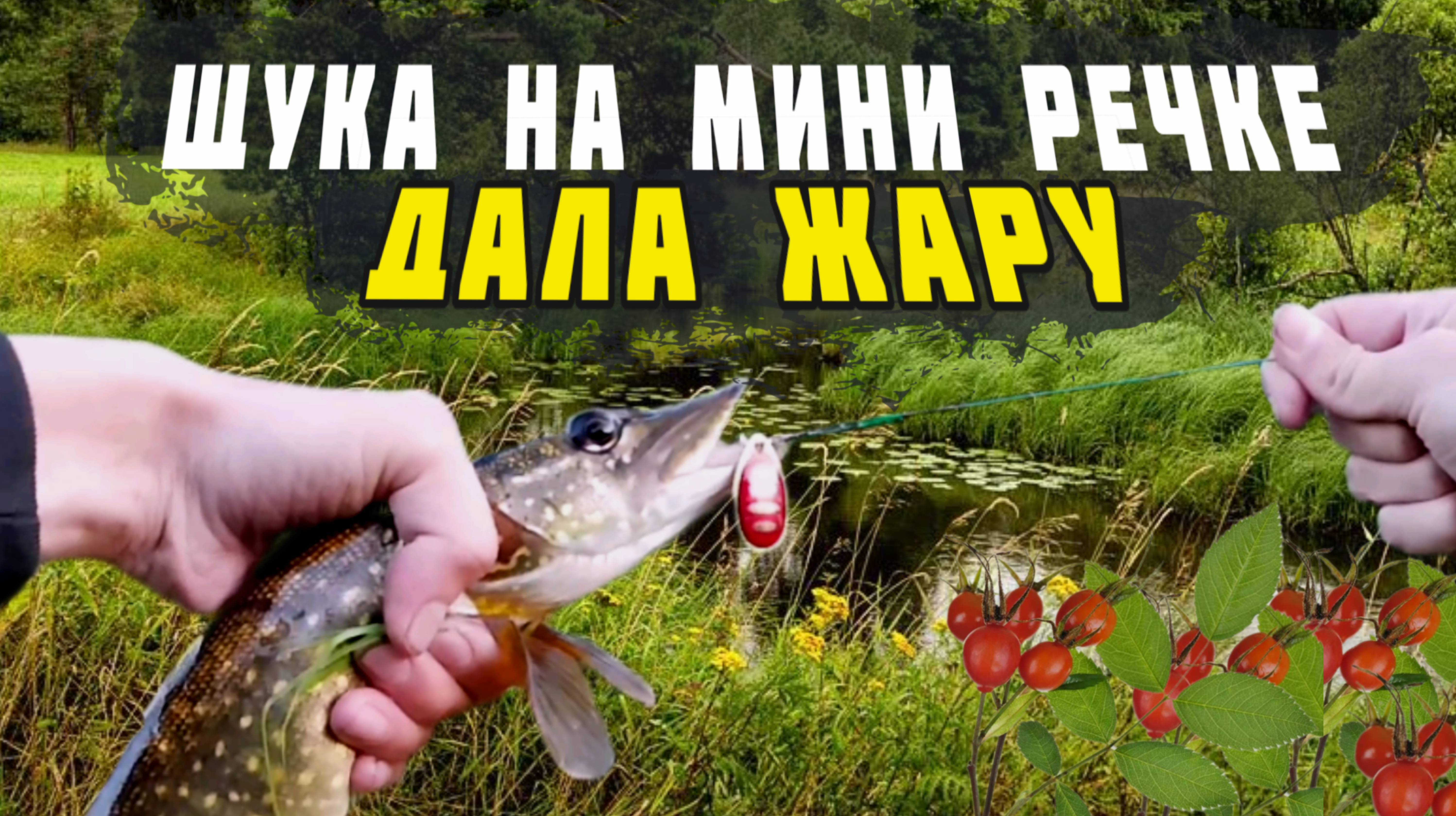 Рыбалка на мини речке. За щукой на зорьке.