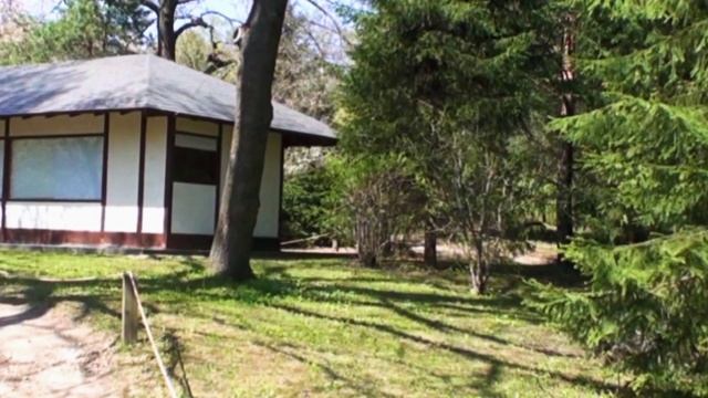 2022 Японские мелодии дзэн в Ботаническом саду 17мин. 1320 4к
植物園の日本の禅のメロディー