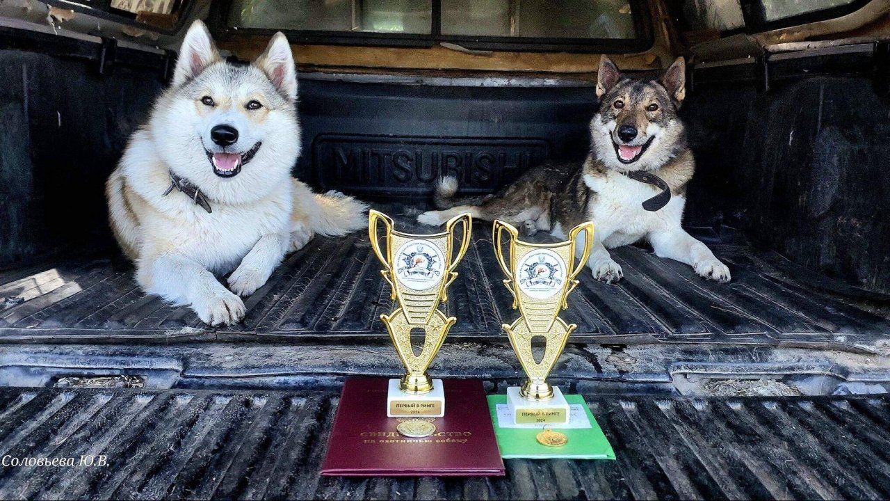 66 Калужская областная выставка