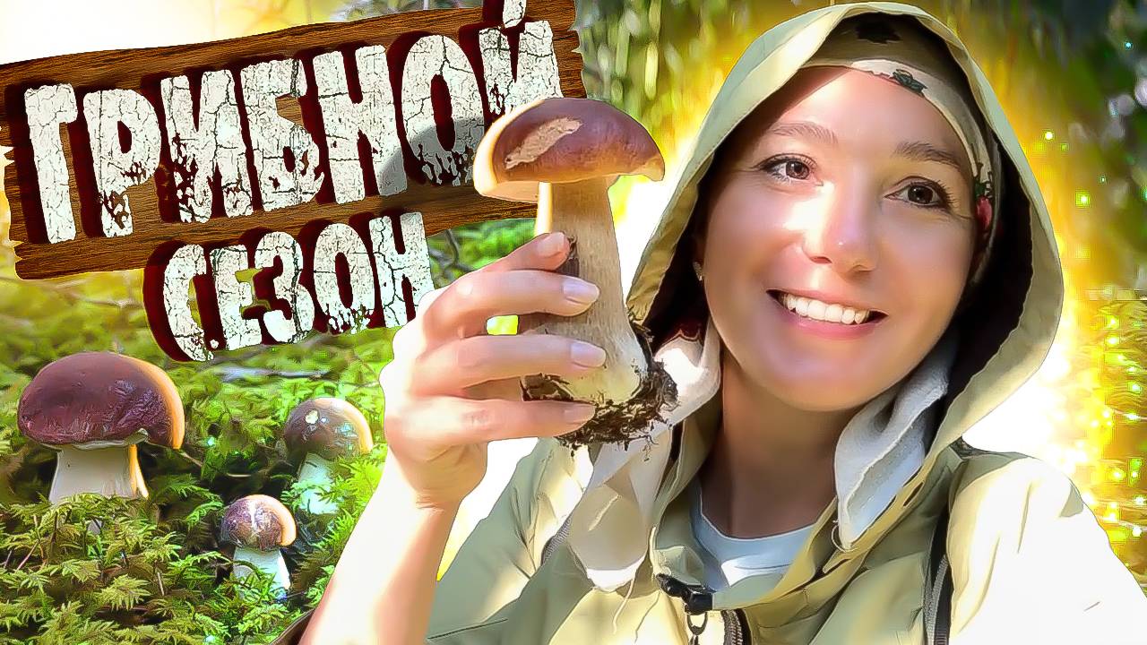 ГРИБЫ ПОШЛИ! Грибной сезон ОТКРЫТ / Сбор грибов в Лесу