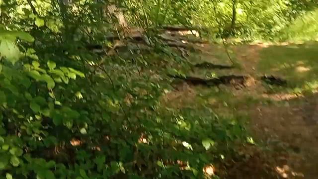 Шаманские прогулки