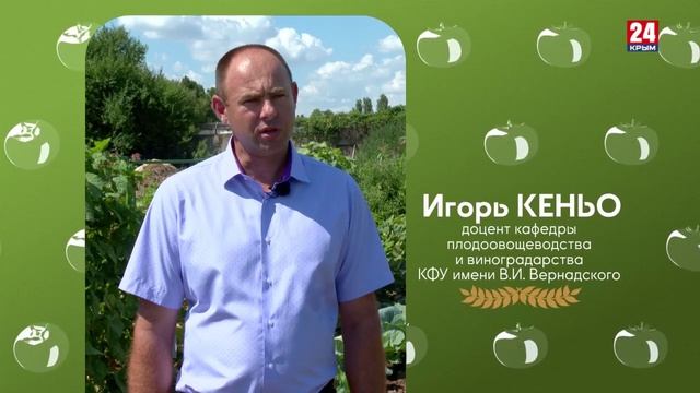 Дф «Наука и агробизнес есть контакт!» 6 серия. Овощная симфония