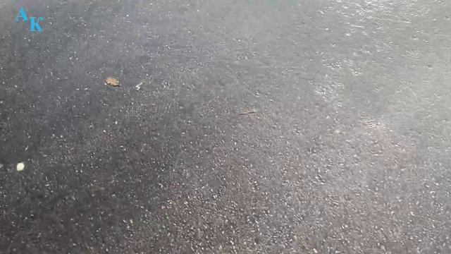 Хаста-Баш. Река. Алупка. Крым. ЮБК. 29.11.2023г.