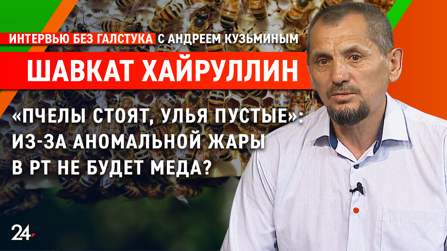 «Пчела – индикатор экологии» / глава РОО «Пчеловоды РТ» Шавкат Хайруллин - Интервью без галстука