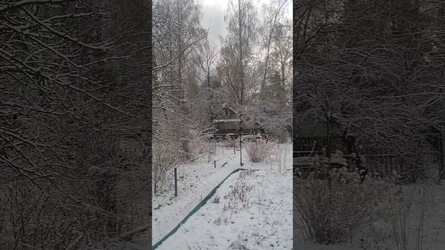 Жизнь за городом. Капризы погоды. Ежики ругаются