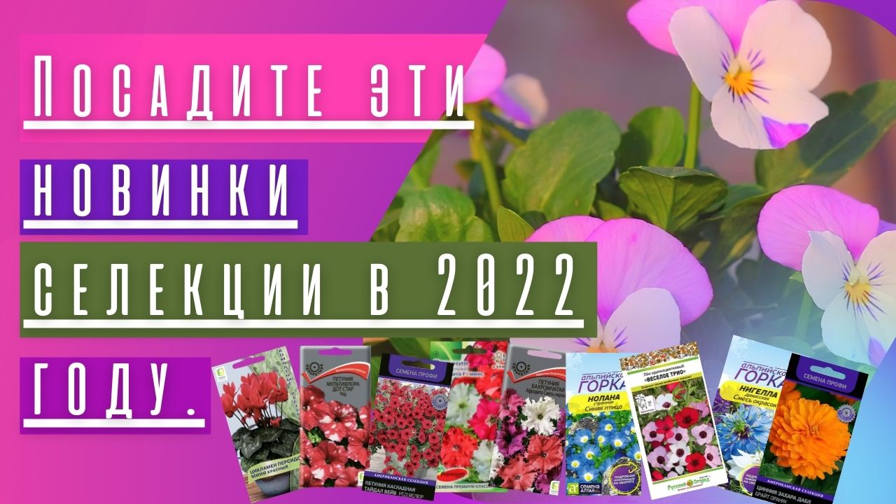 Посадите эти новинки селекции в 2022 году. 🧐