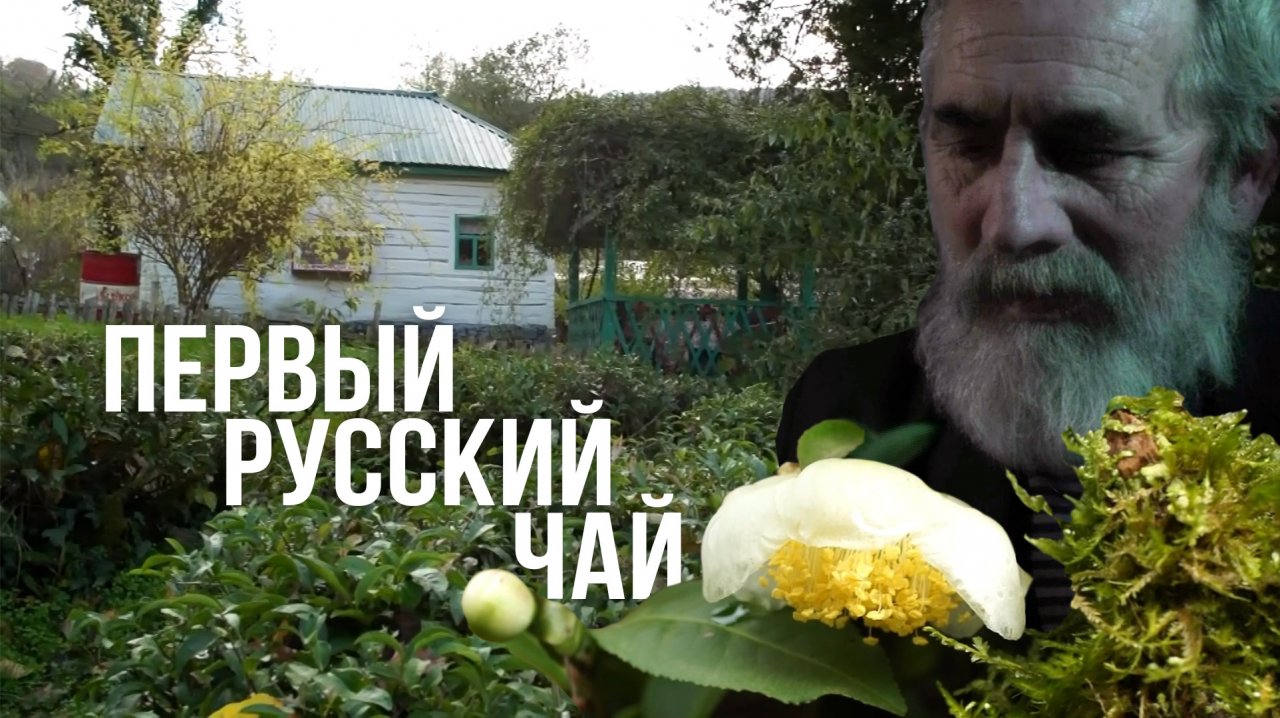 д/ф «Заварка Иуды». История первого русского чаевода