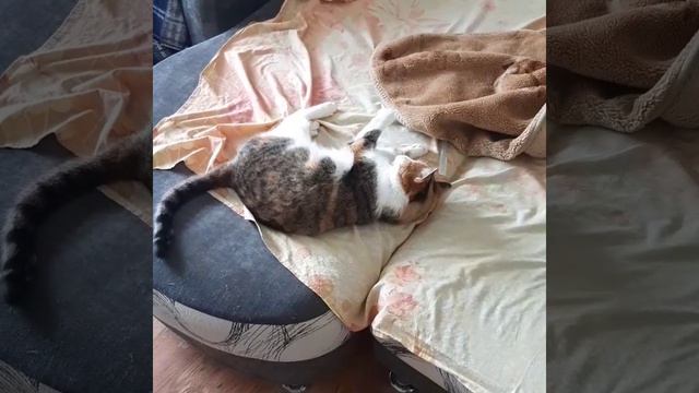 Чем бы дитя не тешилось))).mp4