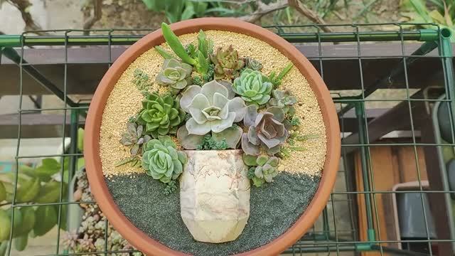 Композиция из суккулентов в виде букета