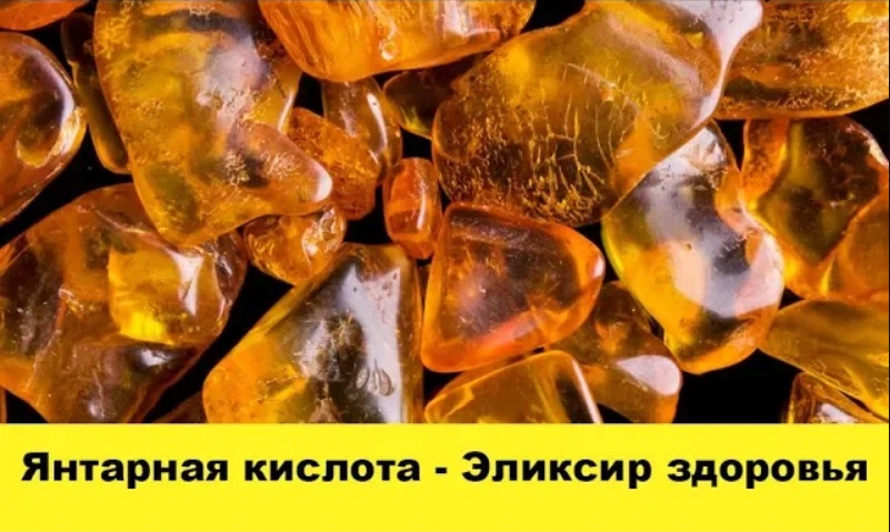 Янтарная кислота - Эликсир здоровья