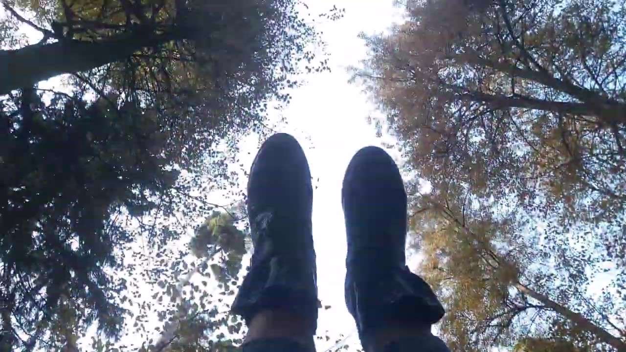 #Юсуповский #парк  #Москва  #Архангельское #Чихуахуа #Смайлик
История сохранилась в красивом парке.