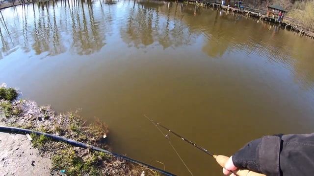 МИСАЙЛОВО TROUT,капризная апрельская форель.mp4