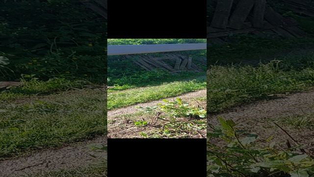 каркас забора