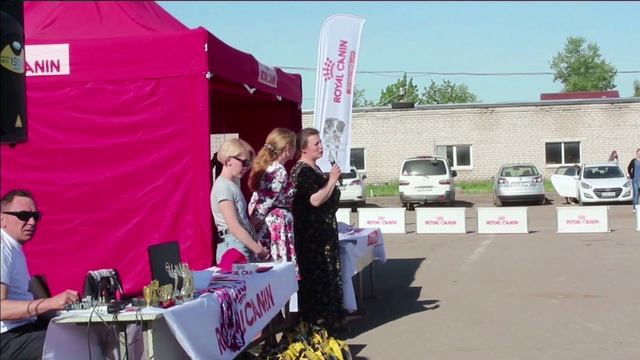 Выставки собак 18,19.05.2019 г.