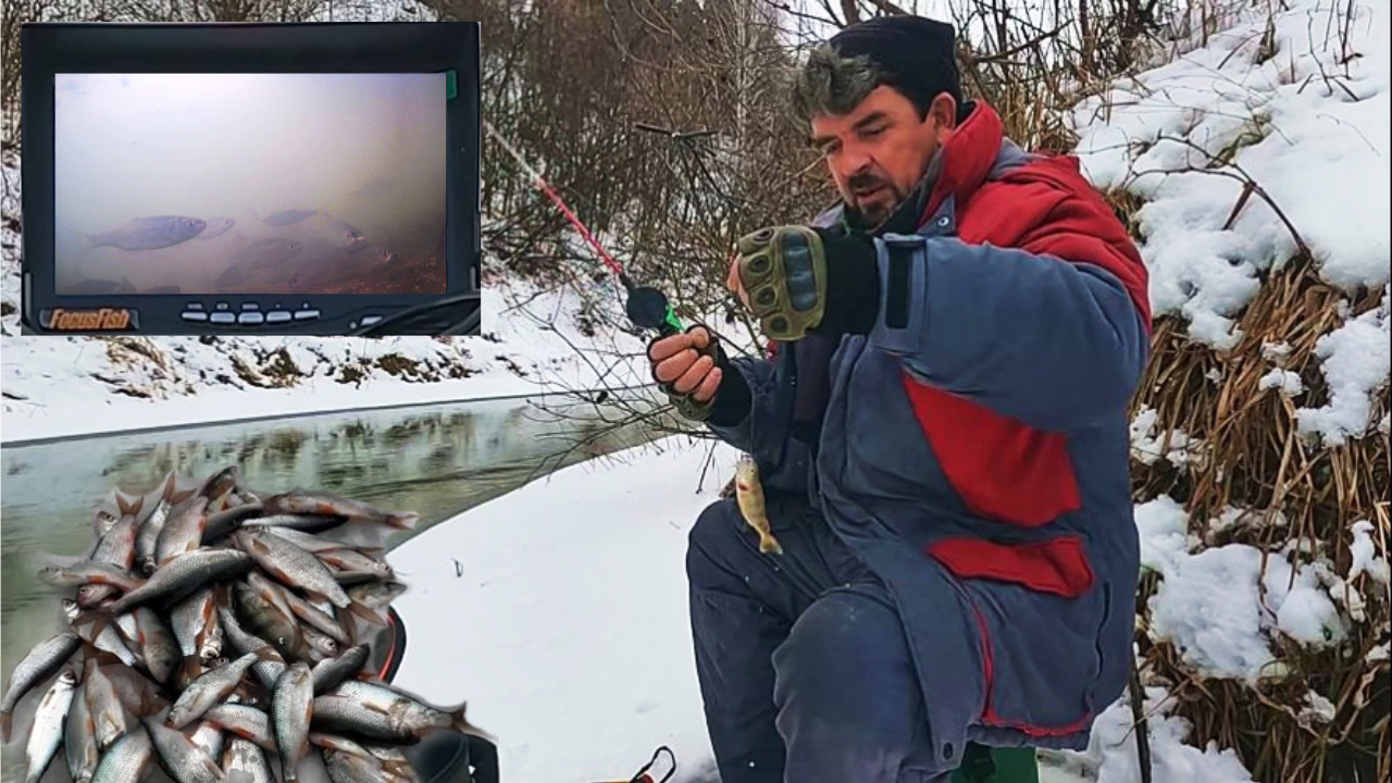 ЛЬДА НЕТ, А РЫБЫ МОРЕ !!! ( Сузун ) 3 декабря 2023г.