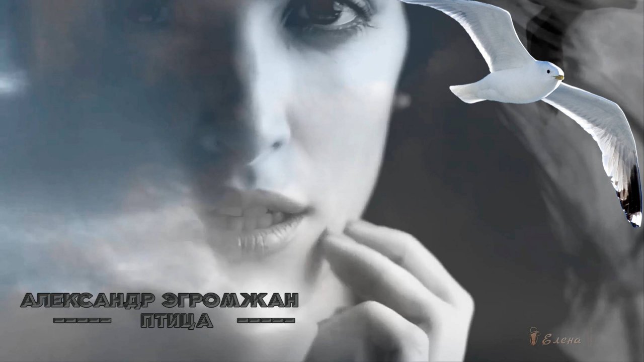 Александр Эгромжан        Птица *