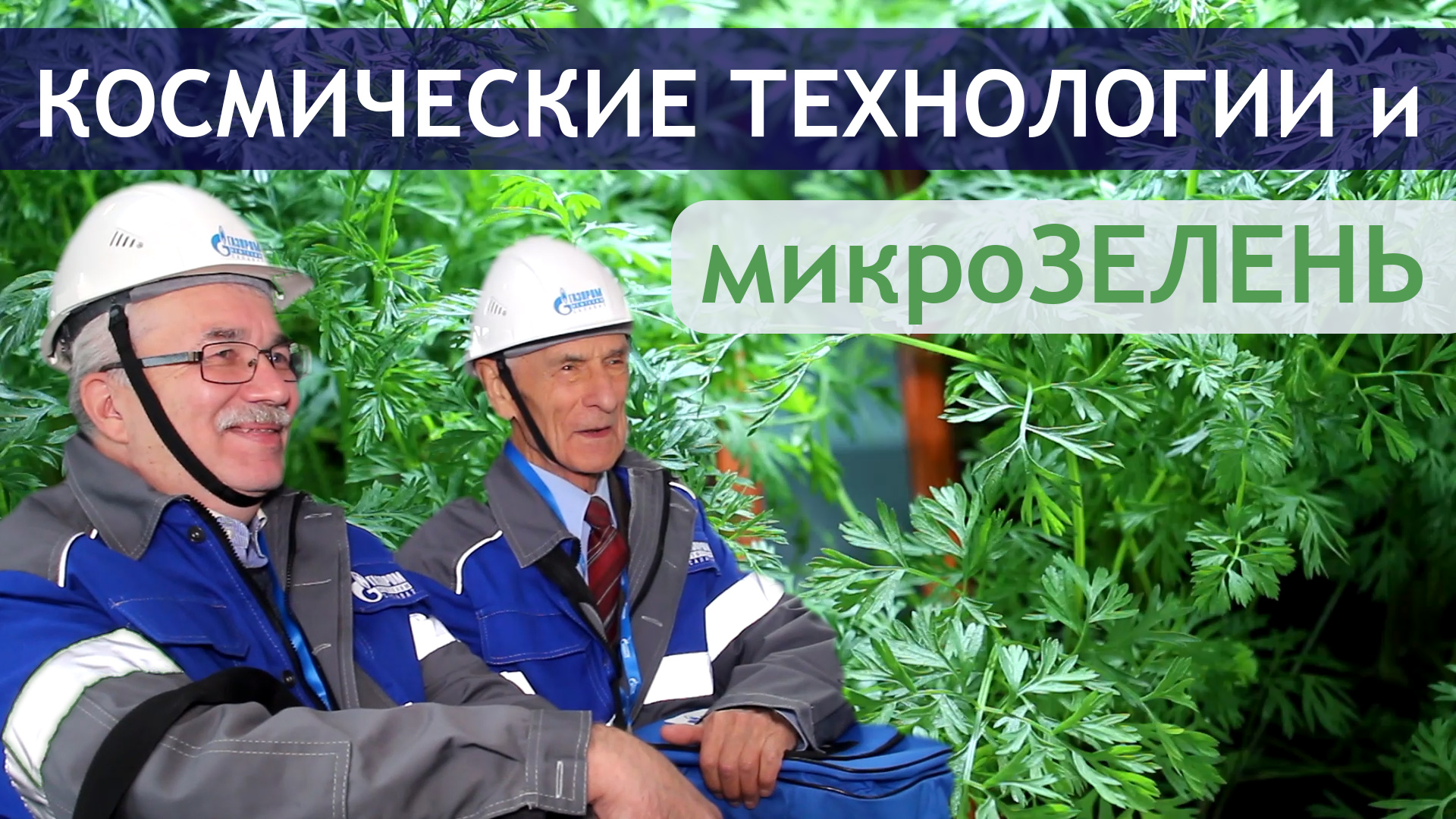 От дачных перспектив – до космических /часть 2/