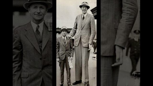 Самый высокий человек в мире #shorts