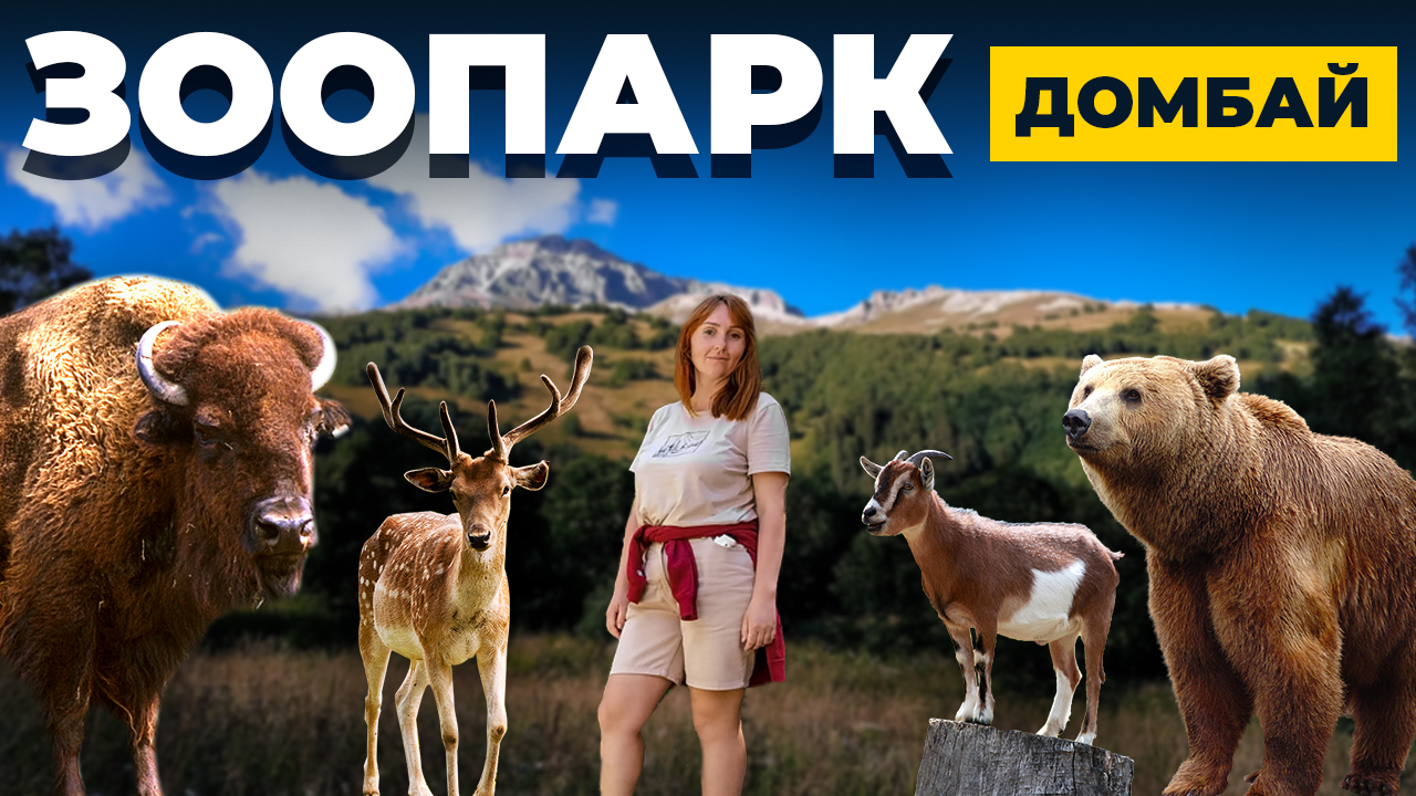 КЧР  |  ЗООПАРК В ТЕБЕРДЕ  |  ДОРОГА С ДОМБАЯ В АРХЫЗ  |  АРХЫЗ  |  ДЕНЬ С НАМИ