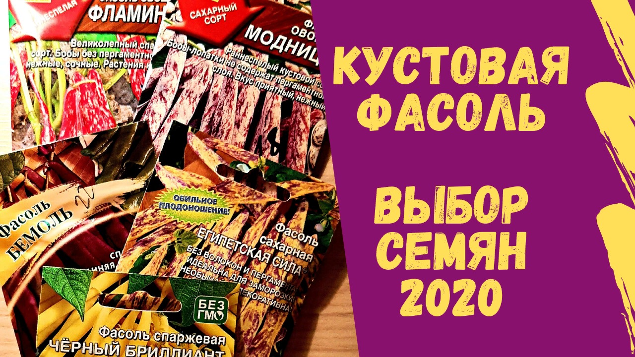 Фасоль кустовая и вьющаяся. Семена 2020.