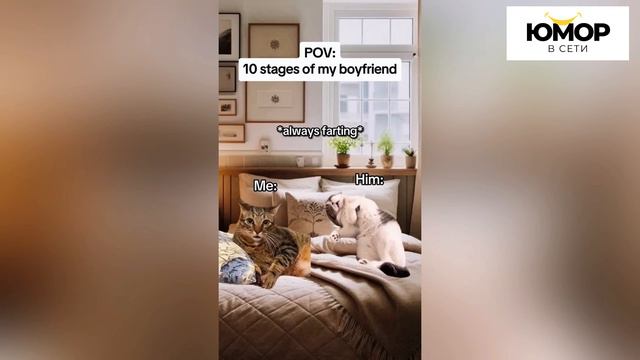 ПОПРОБУЙ НЕ ЗАСМЕЯТЬСЯ #21, 99.9% ПРОИГРАЮТ / ПОДБОРКА ПРИКОЛОВ / СМЕШНЫЕ ВИДЕО 2024