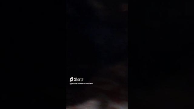 0.5у.КОНФЕТЫ.《. × №406. darick.PROPHET. SHCHERBAKOV. ЩЕРБАКОВ АРТЕМ. DOG. СОБАКА.