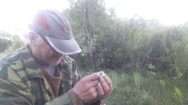 Про рыбалку: Как насадить перловку на крючок