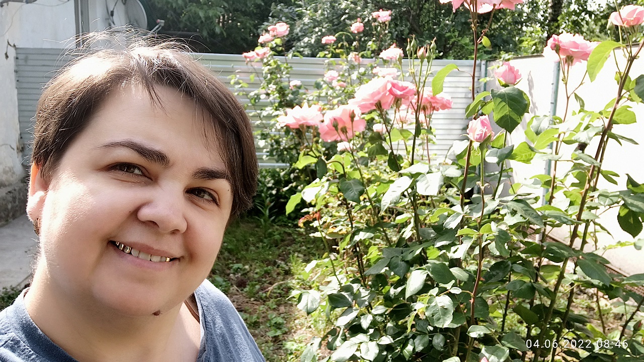 175. ТЕФТЕЛИ В ТОМАТНОМ СОУСЕ / РАСЦВЕТАЮТ РОЗЫ