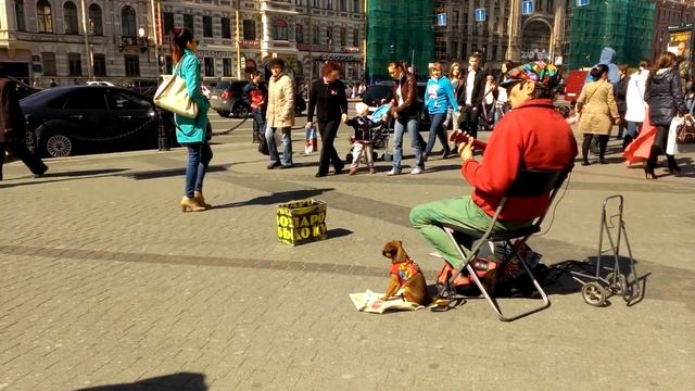 Уличный музыкант у Московского вокзала.