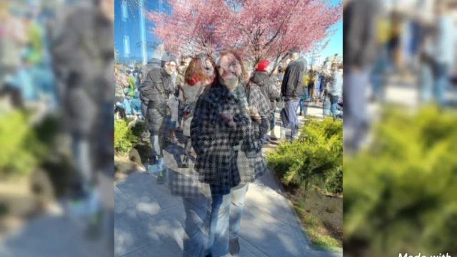 Любование цветущей сакурой в Музее Мирового океана 16 апреля